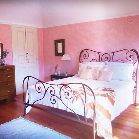 Quick Home - Magnolia Viverone Dış mekan fotoğraf